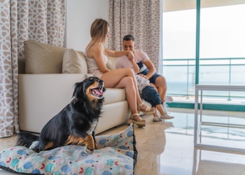 Apartamento 2 dormitorios 4/6 personas Apartamentos Magic Atrium Beach Villajoyosa Apartamento 2 dormitorios 4/6 personas Apartamentos Magic Atrium Beach Villajoyosa