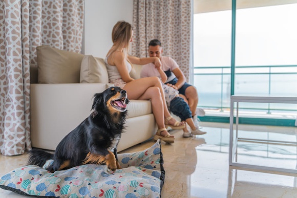 Apartamento 2 dormitorios 4/6 personas Apartamentos Magic Atrium Beach Villajoyosa Apartamento 2 dormitorios 4/6 personas Apartamentos Magic Atrium Beach Villajoyosa