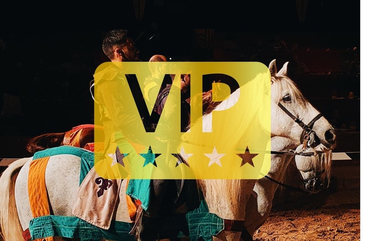 Cena-espectáculo 'desafío medieval' (pase vip) Apartamentos Magic Atrium Beach Villajoyosa Cena-espectáculo 'desafío medieval' (pase vip) Apartamentos Magic Atrium Beach Villajoyosa