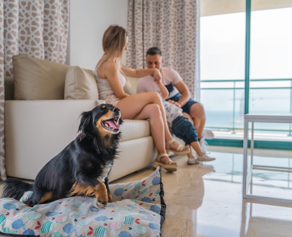 Apartamento 2 dormitorios 4/6 personas Apartamentos Magic Atrium Beach Villajoyosa Apartamento 2 dormitorios 4/6 personas Apartamentos Magic Atrium Beach Villajoyosa