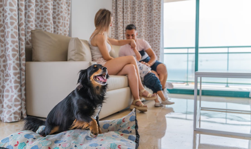 Apartamento 2 dormitorios 4/6 personas Apartamentos Magic Atrium Beach Villajoyosa Apartamento 2 dormitorios 4/6 personas Apartamentos Magic Atrium Beach Villajoyosa